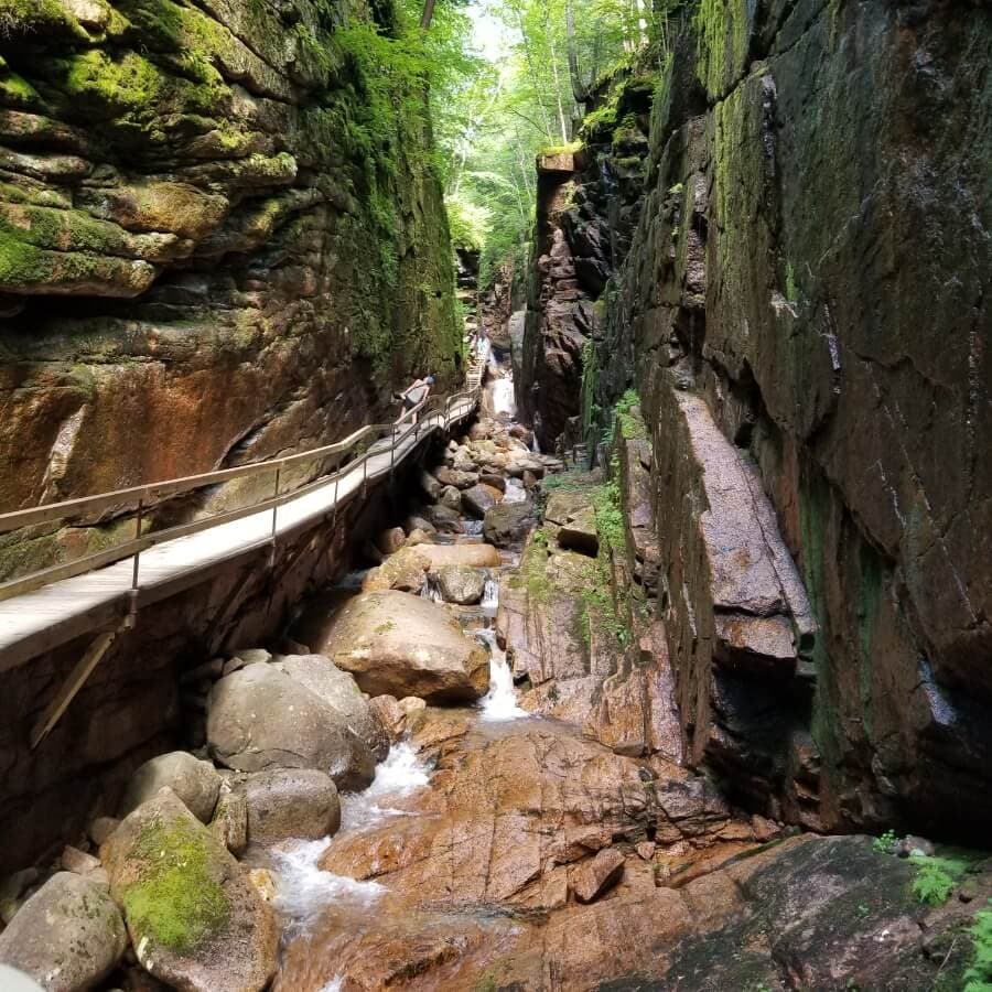 A wooden walkway winds through a rocky, moss-covered canyon with flowing water.