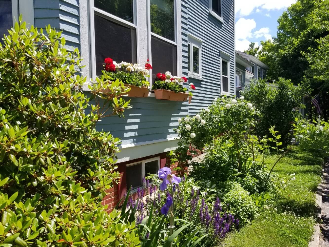 A blue house with flower-filled window boxes and a flourishing garden in front.