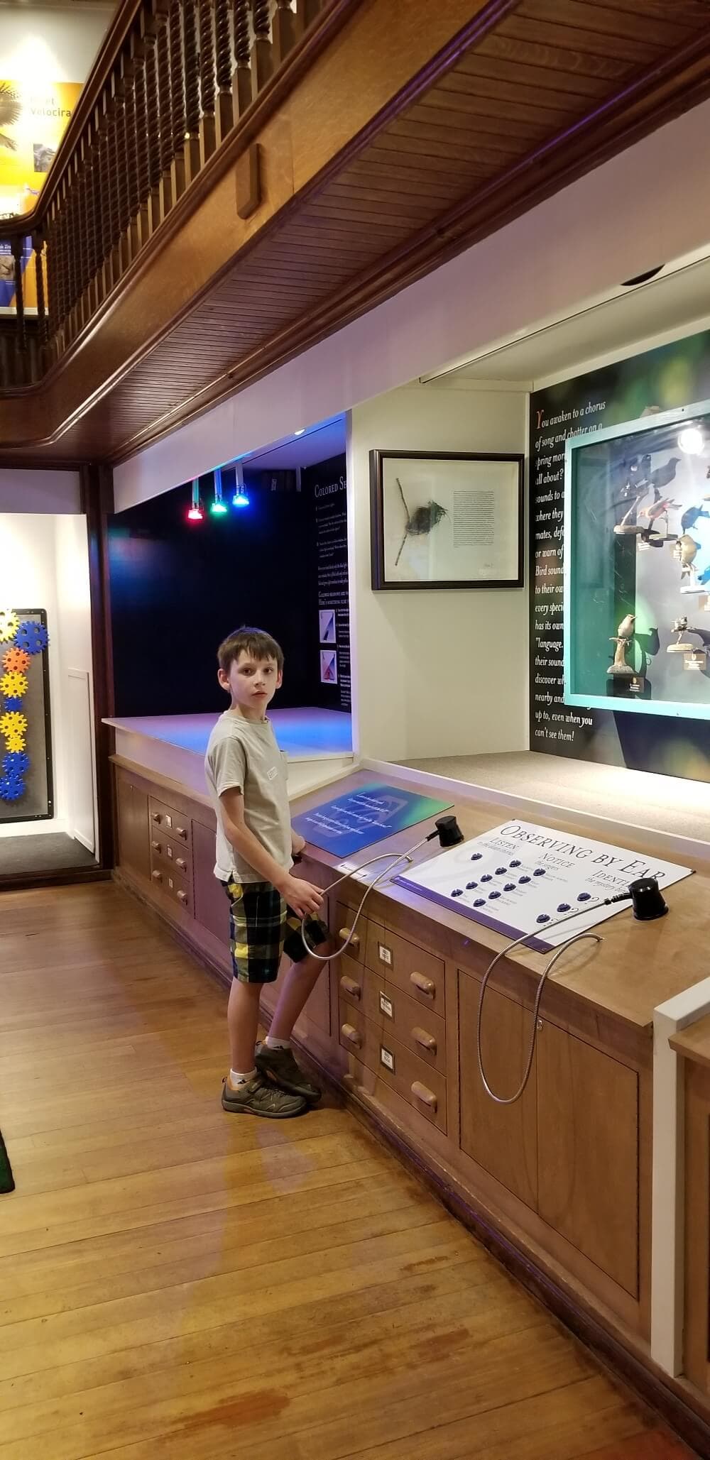 A boy stands at an interactive exhibit in a museum, engaging with a display labeled "Observing by Ear."