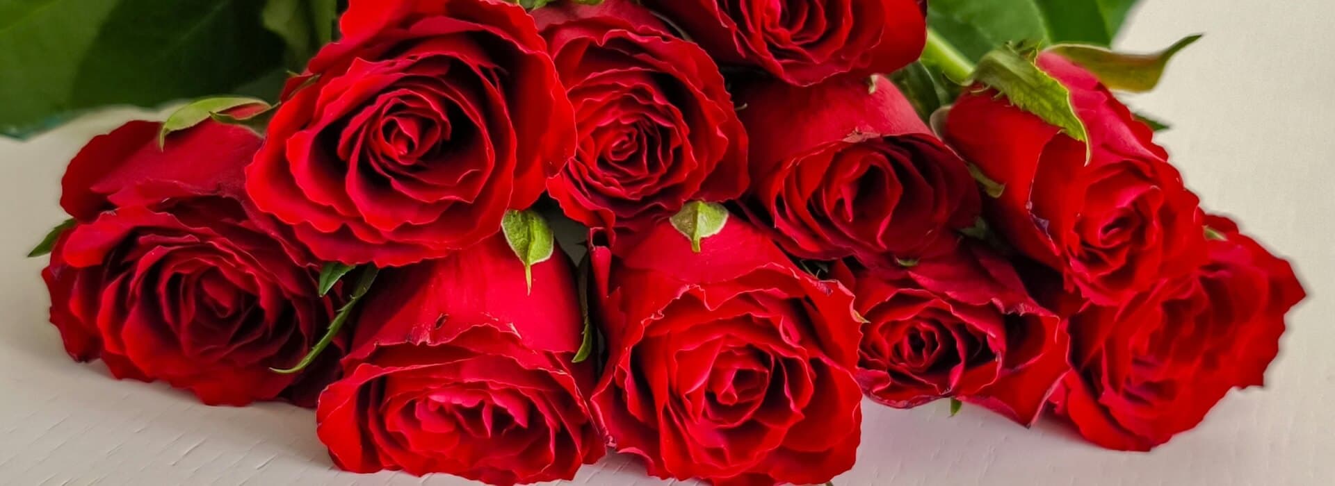 A bouquet of vibrant red roses arranged elegantly.